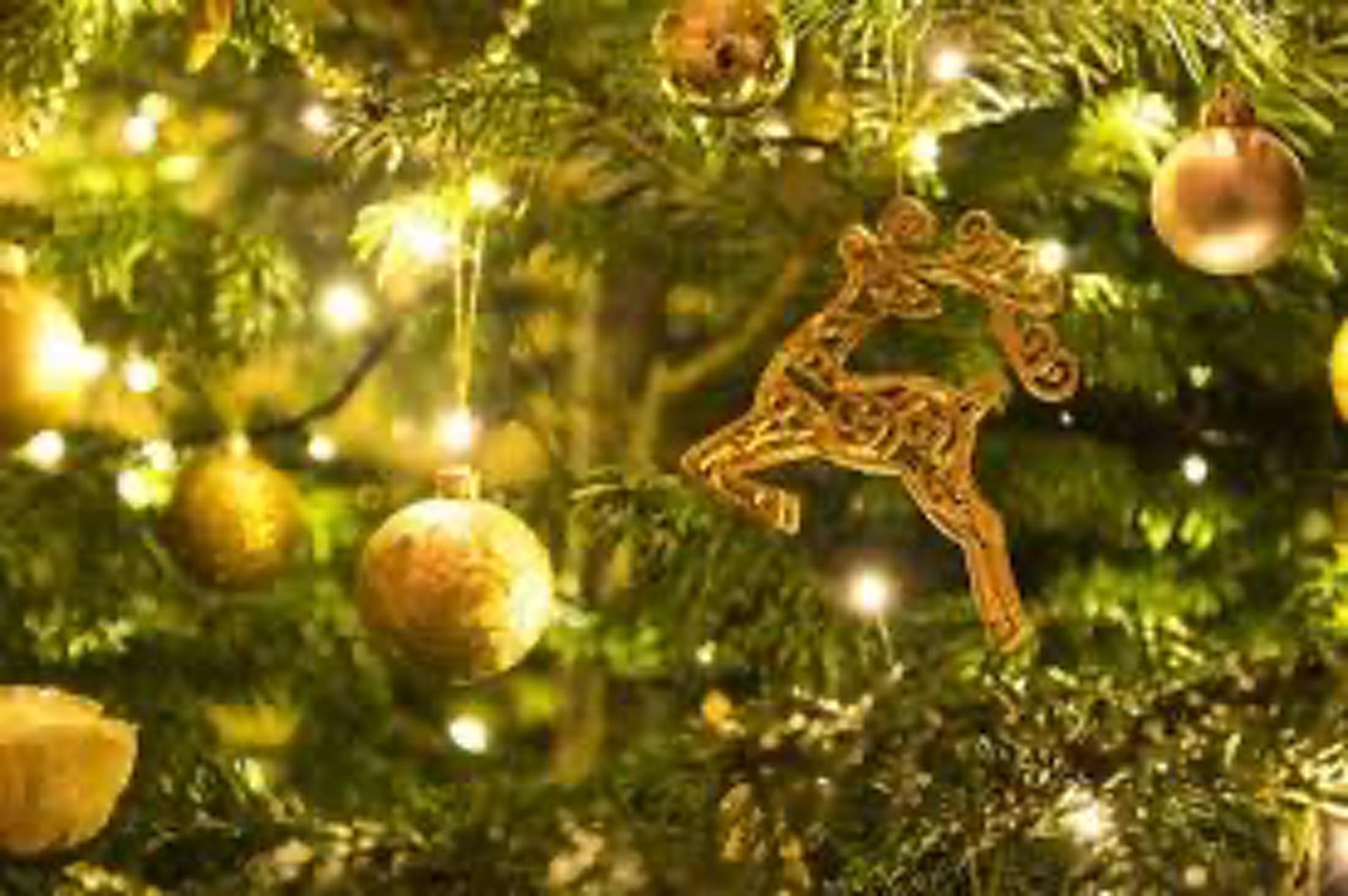 Zeller der Woche: es weihnachtet