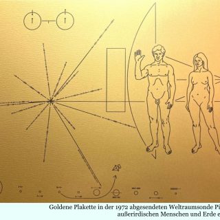 Frisch gepresst Manche Opfer sterben eben nur