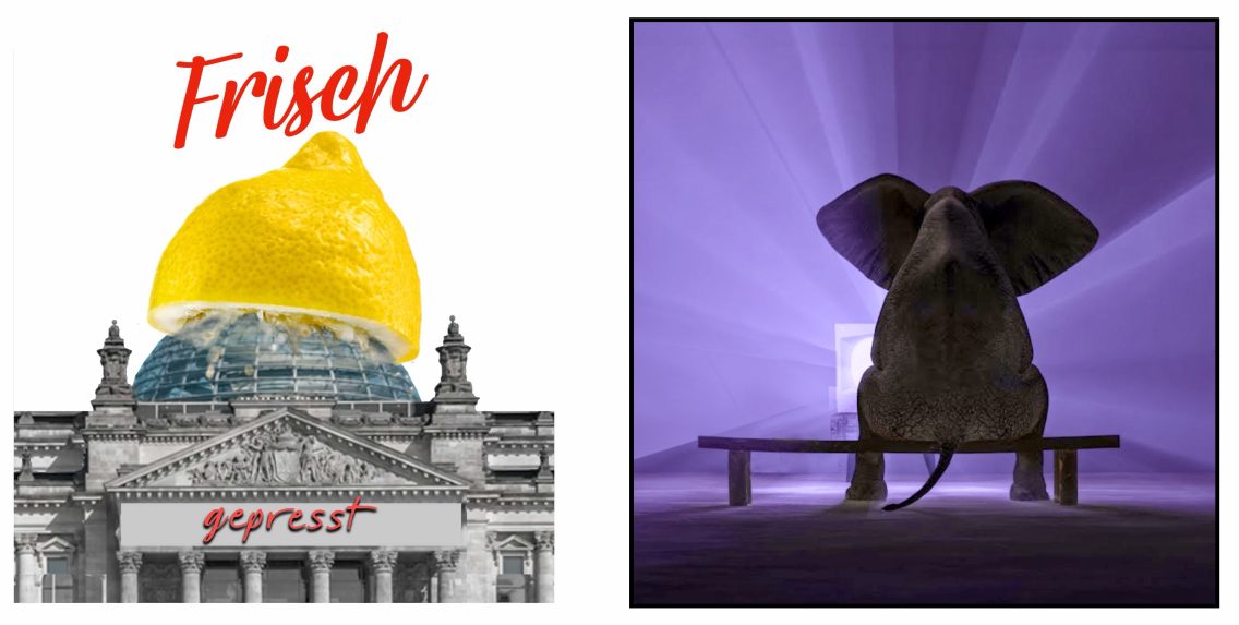 Wie viele Elefanten im Raum, Winston?