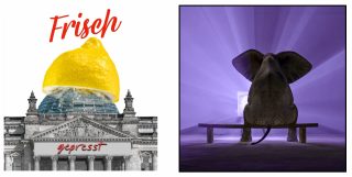 Wie viele Elefanten im Raum, Winston?