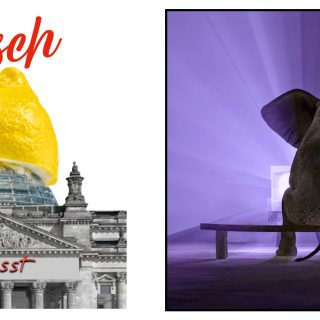 Zeller der Woche: Haltungslücken