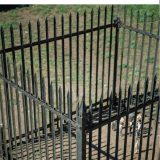 Alle zusammen – außer ganz vielen