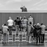 Steinmeiers großes summendes Wir