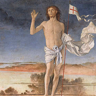 Zeller der Woche: Hasshelfer